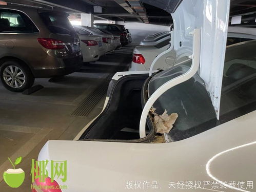 海口汽车商城