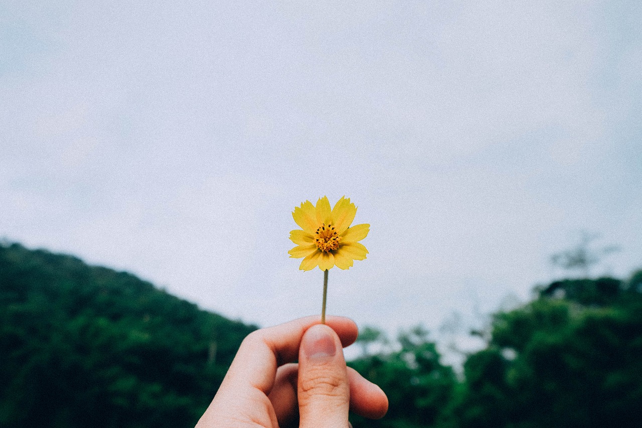 日常生活达人七夕之恋，通往爱的必经之路