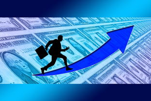 智慧的钥匙，掌握公共基础知识1000题及答案