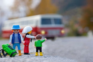 探索幼儿世界的奇妙之旅，百科知识问答大全
